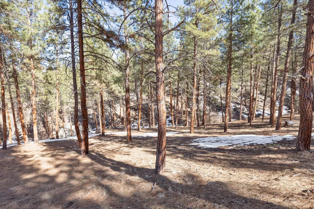 1437 Stock Farm Road Hamilton MT 59840