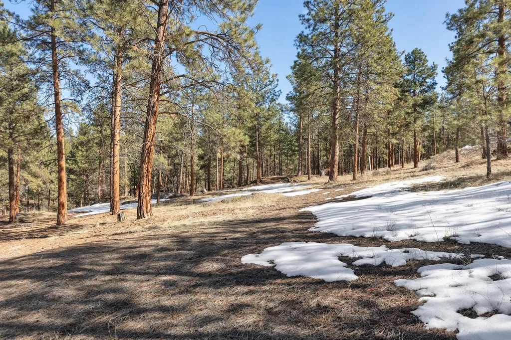 1437 Stock Farm Road Hamilton MT 59840