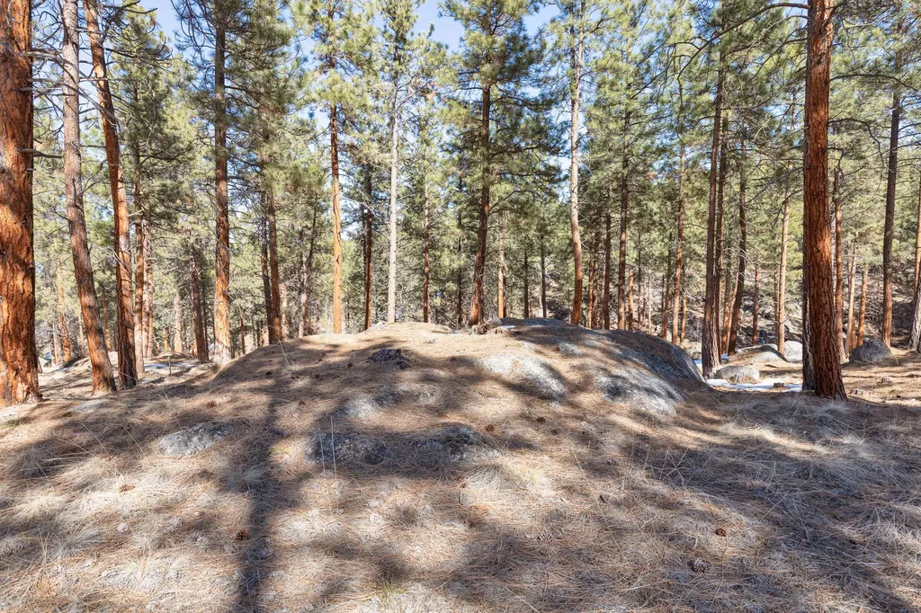 1437 Stock Farm Road Hamilton MT 59840