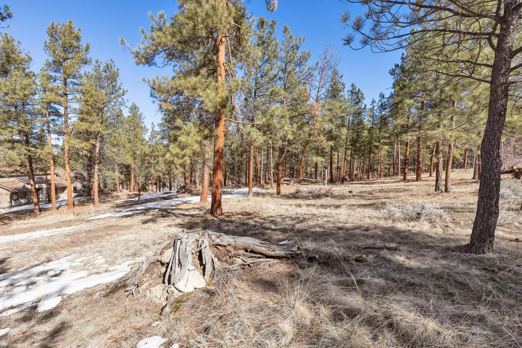 1437 Stock Farm Road Hamilton MT 59840