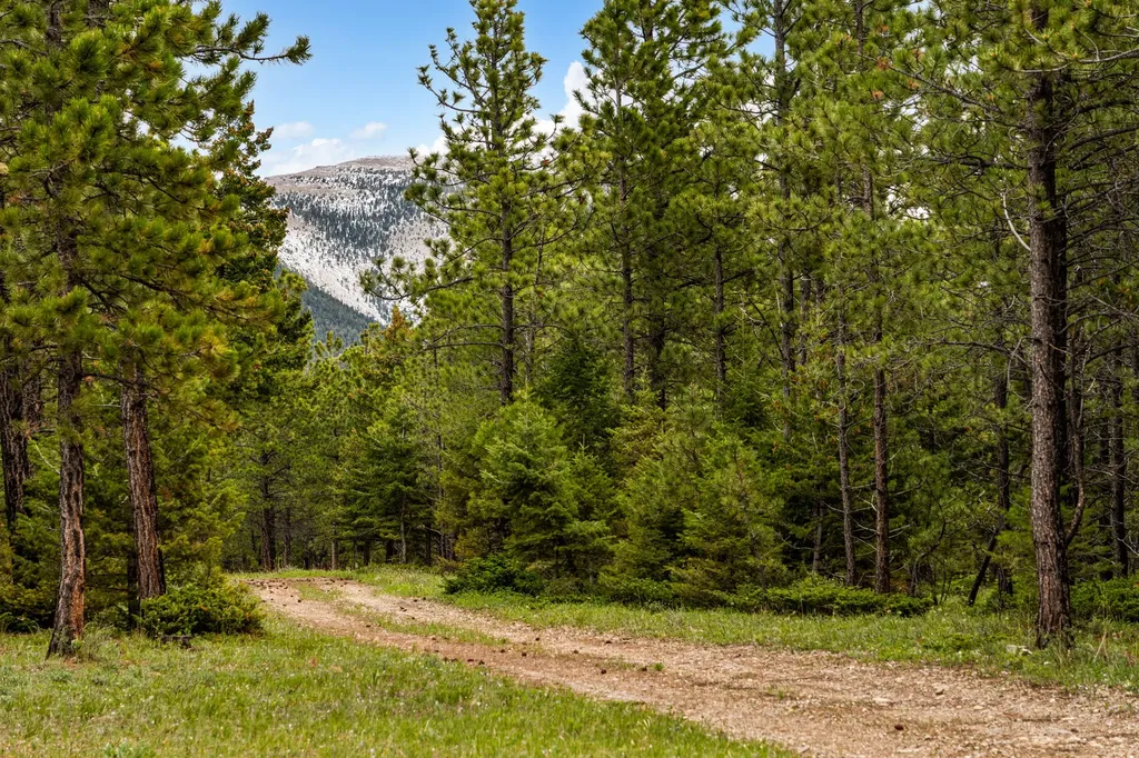 125 Golden Bear Lane Judith Gap MT 59453