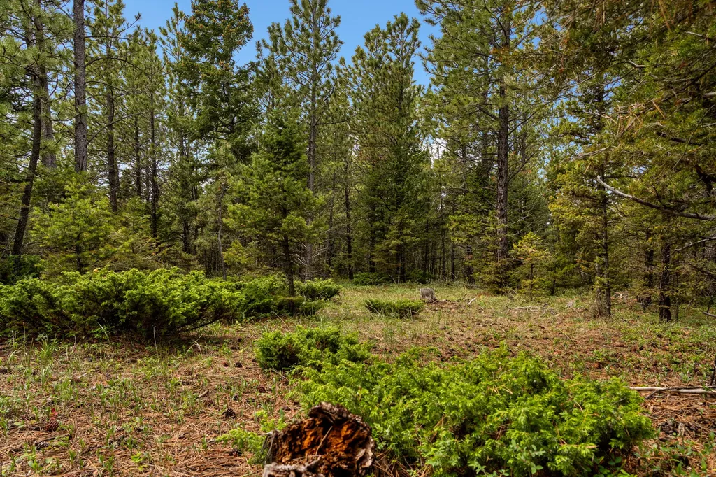 125 Golden Bear Lane Judith Gap MT 59453