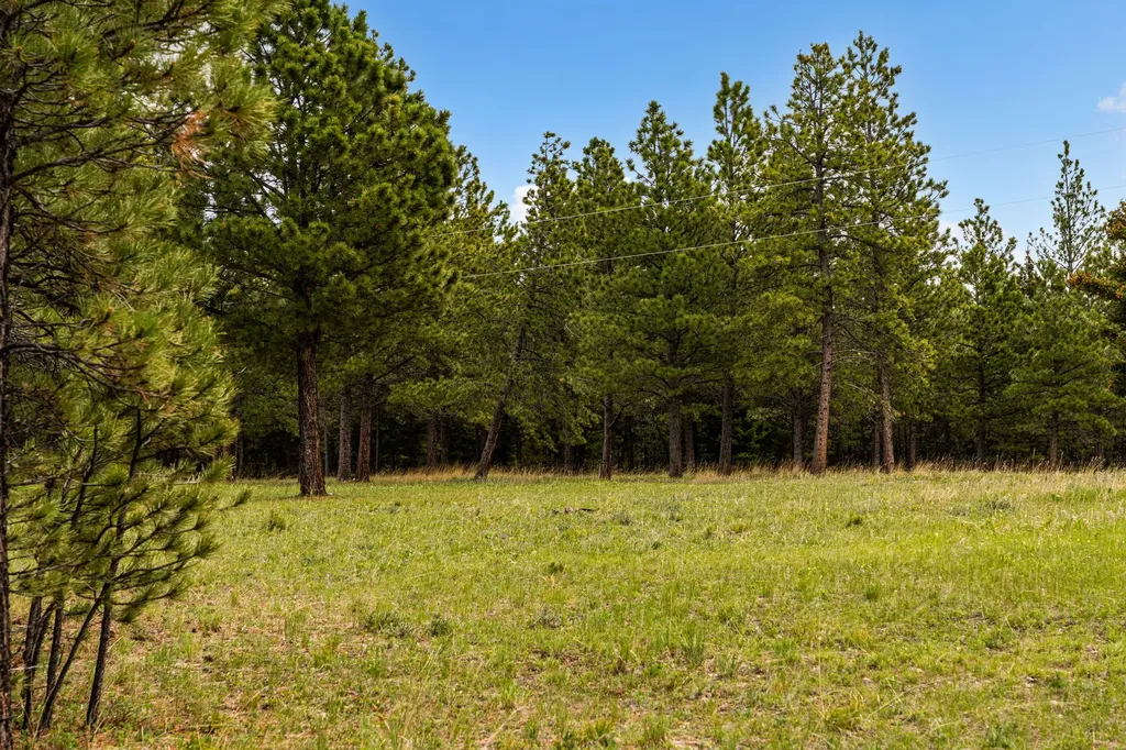 125 Golden Bear Lane Judith Gap MT 59453
