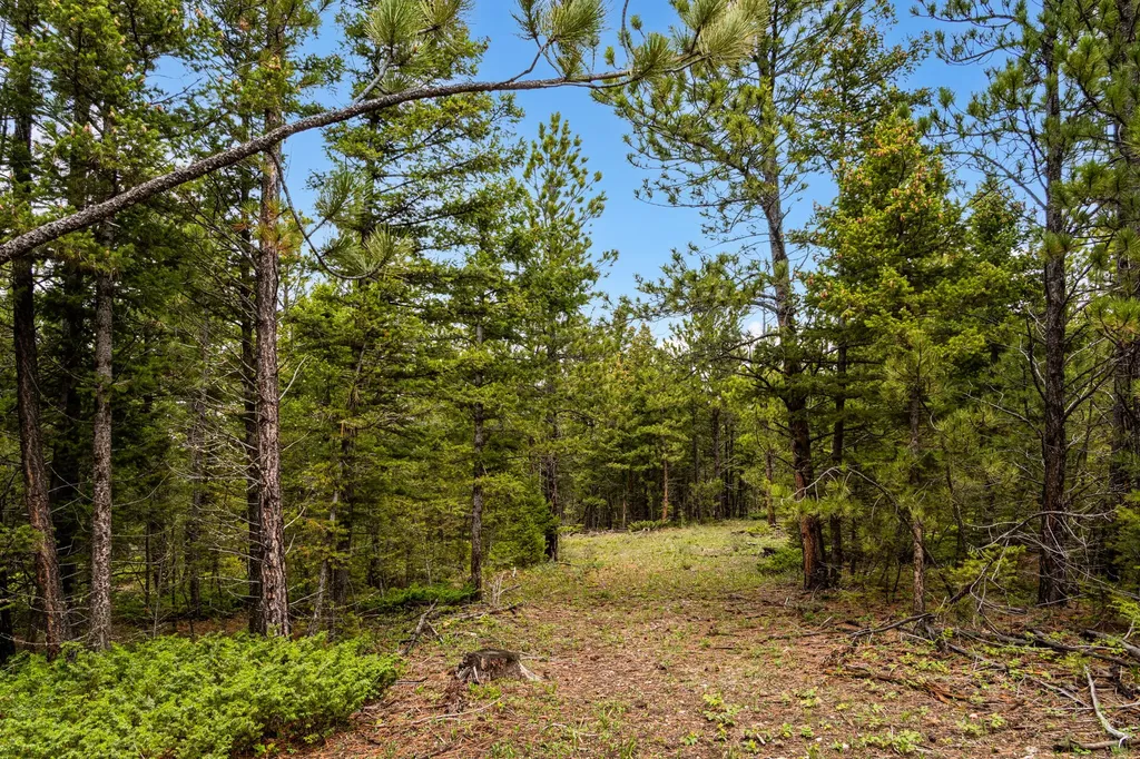 125 Golden Bear Lane Judith Gap MT 59453