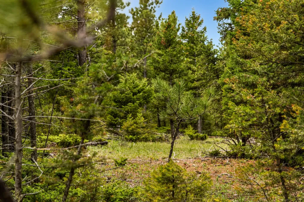 125 Golden Bear Lane Judith Gap MT 59453