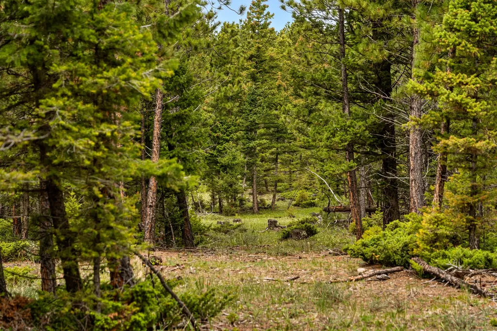 125 Golden Bear Lane Judith Gap MT 59453