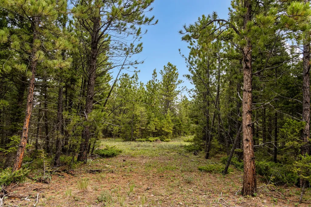 125 Golden Bear Lane Judith Gap MT 59453