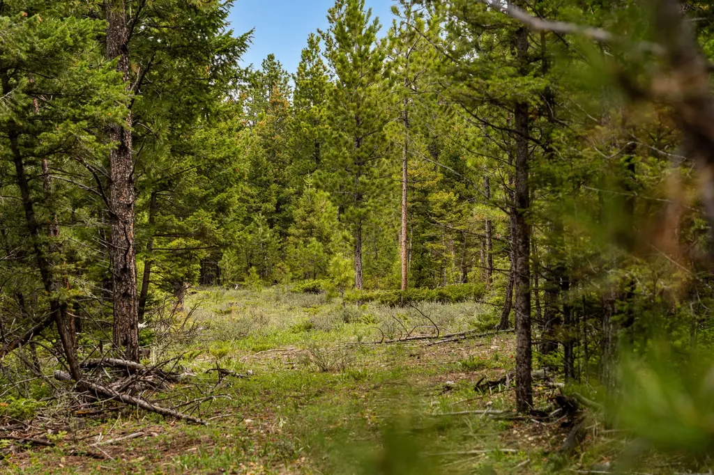 125 Golden Bear Lane Judith Gap MT 59453