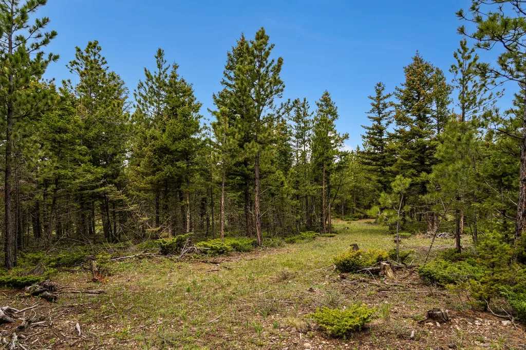 125 Golden Bear Lane Judith Gap MT 59453