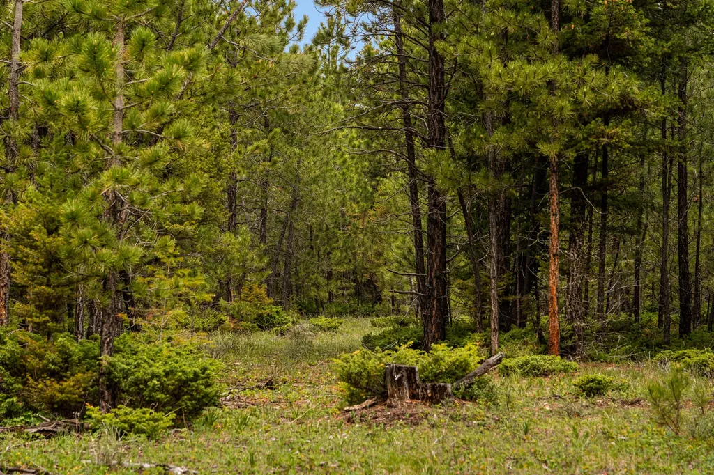125 Golden Bear Lane Judith Gap MT 59453