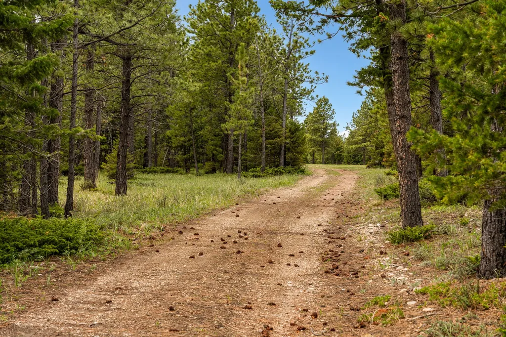 125 Golden Bear Lane Judith Gap MT 59453