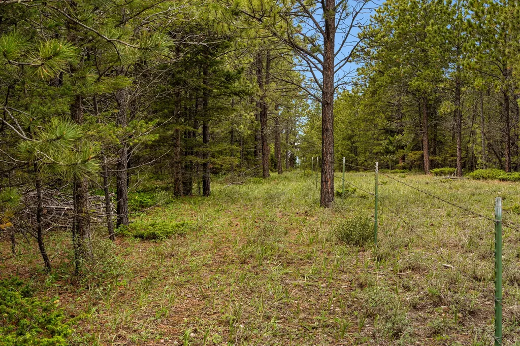 125 Golden Bear Lane Judith Gap MT 59453
