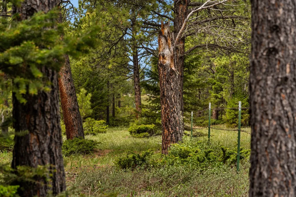 125 Golden Bear Lane Judith Gap MT 59453