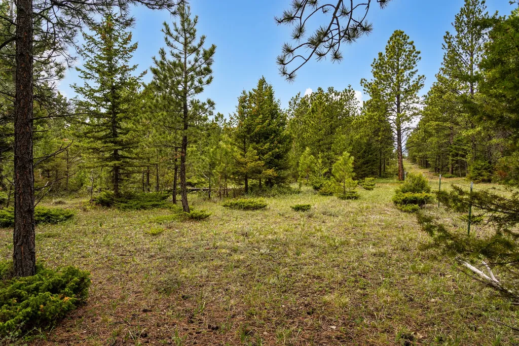 125 Golden Bear Lane Judith Gap MT 59453