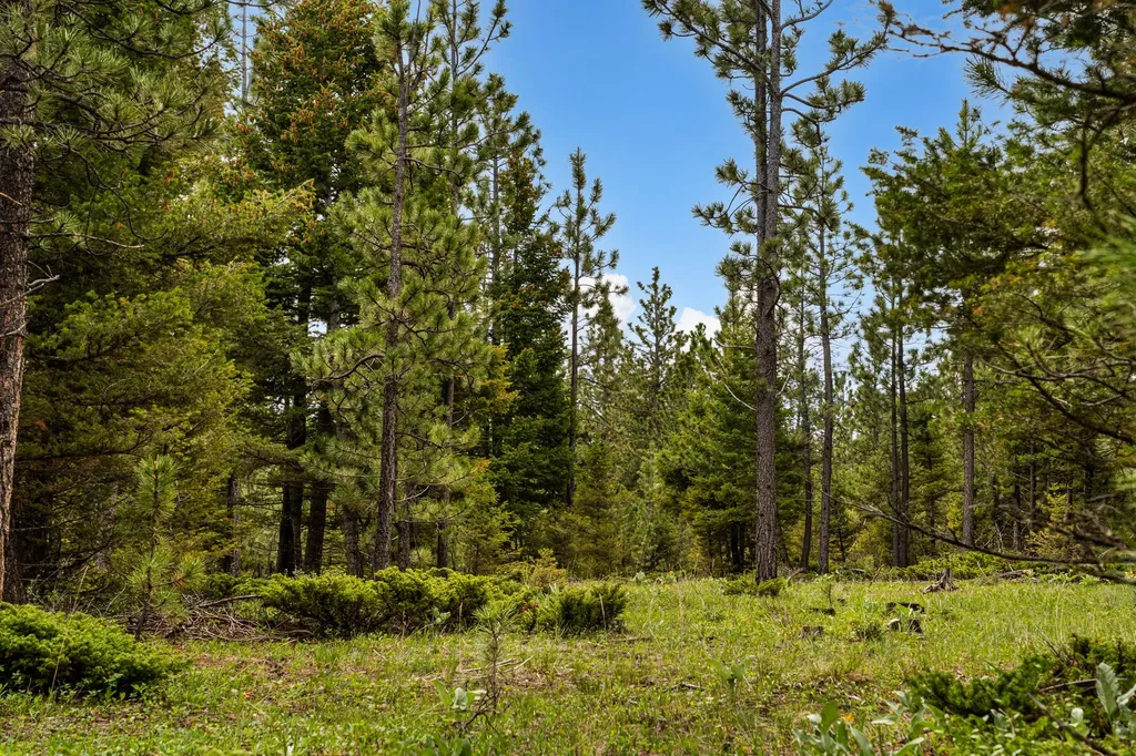 125 Golden Bear Lane Judith Gap MT 59453