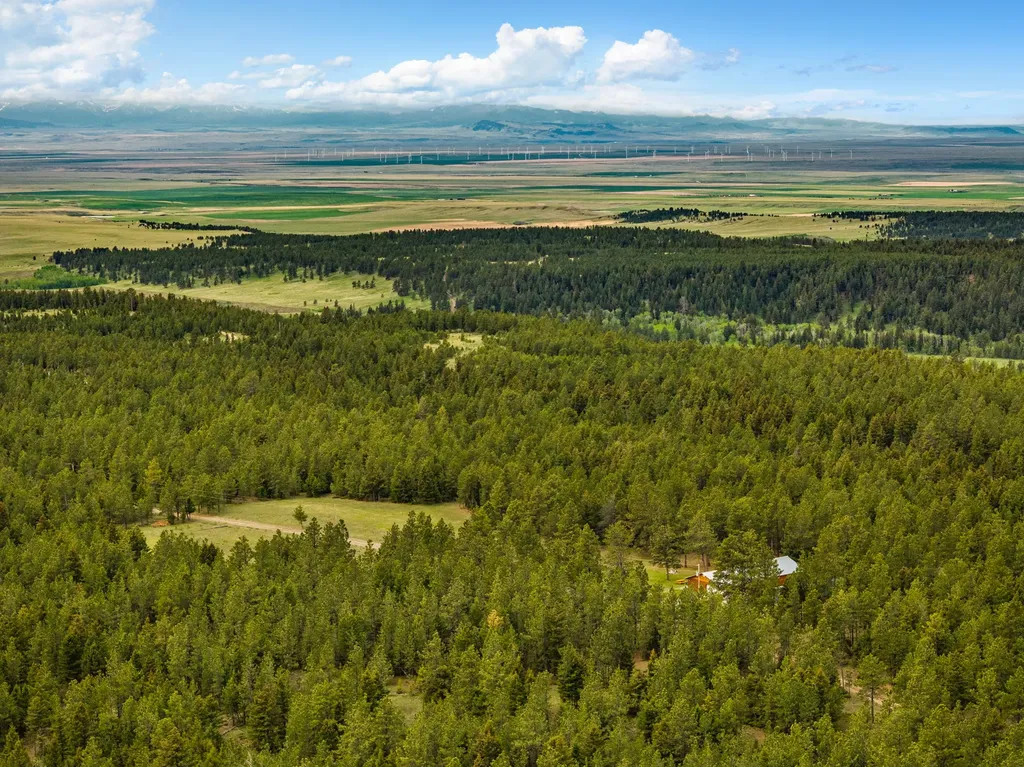 125 Golden Bear Lane Judith Gap MT 59453