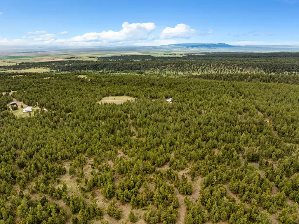 125 Golden Bear Lane Judith Gap MT 59453