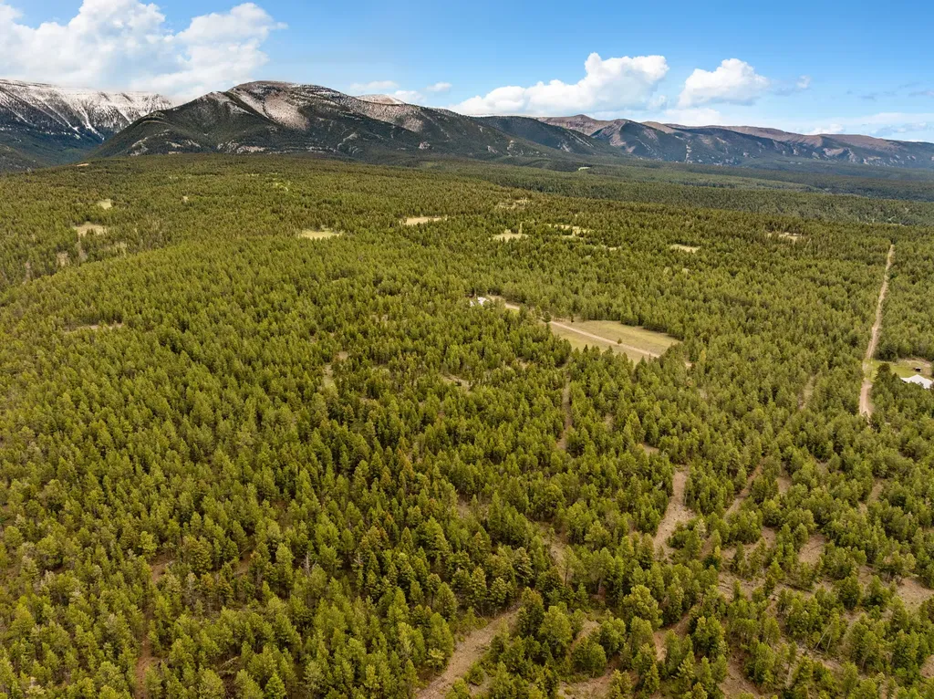 125 Golden Bear Lane Judith Gap MT 59453