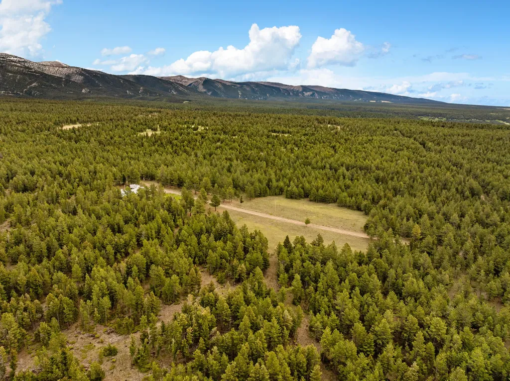 125 Golden Bear Lane Judith Gap MT 59453