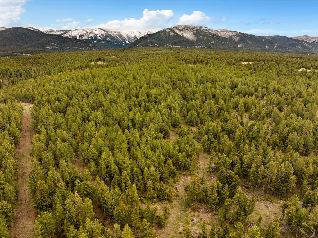 125 Golden Bear Lane Judith Gap MT 59453