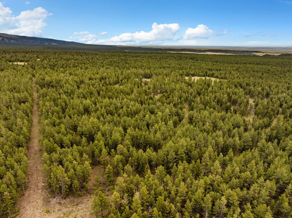 125 Golden Bear Lane Judith Gap MT 59453