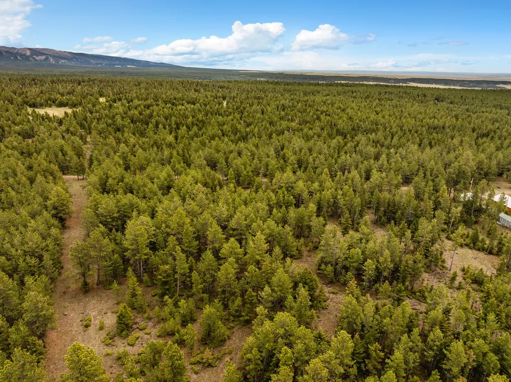 125 Golden Bear Lane Judith Gap MT 59453