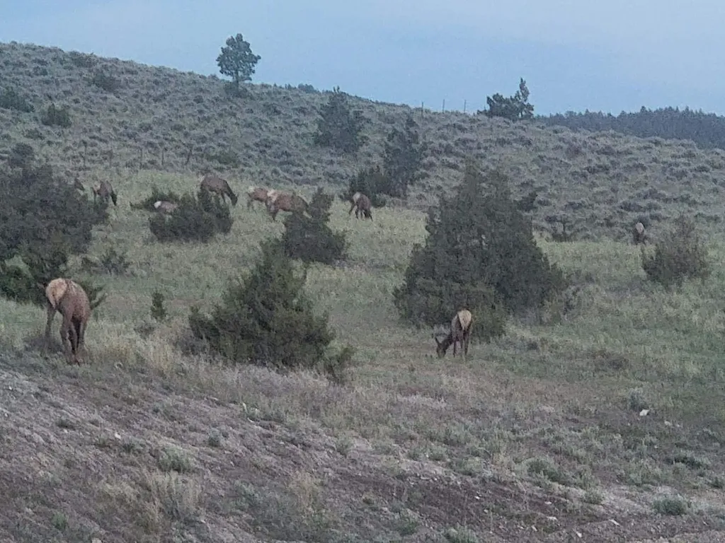 4885 Iron Horse Road Helena MT 59602