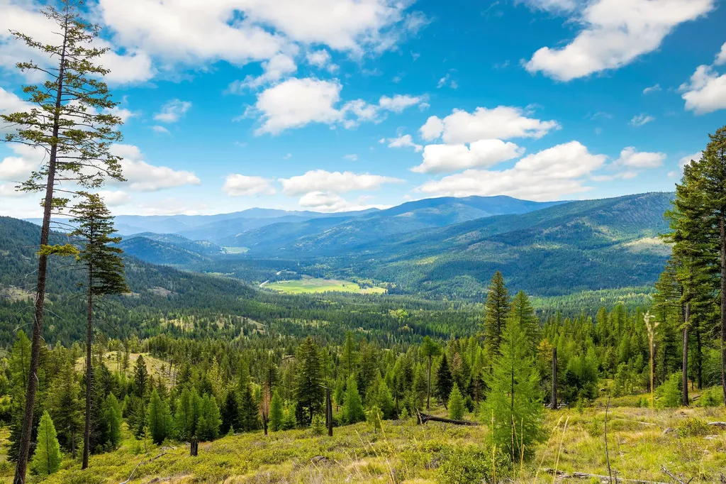 Nhn Idaho Hill Road Marion MT 59925