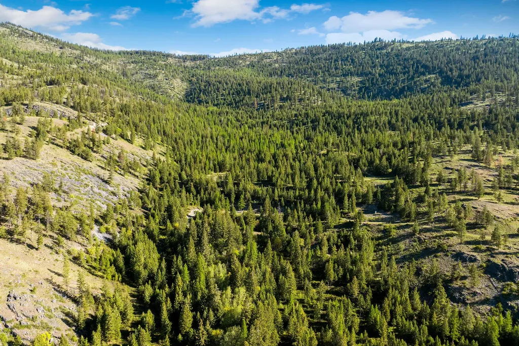 Nhn Idaho Hill Road Marion MT 59925