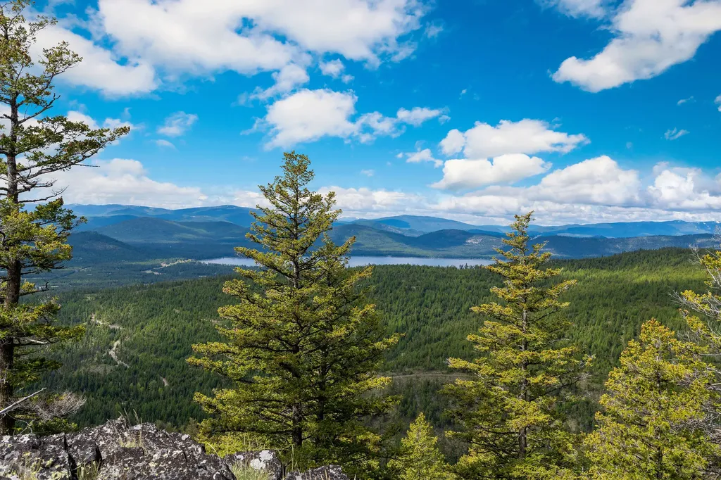 Nhn Idaho Hill Road Marion MT 59925