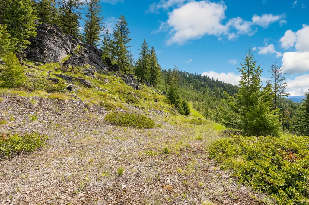 Nhn Idaho Hill Road Marion MT 59925