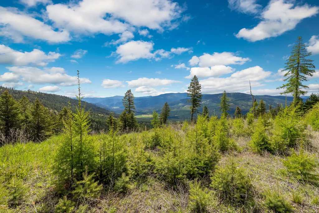 Nhn Idaho Hill Road Marion MT 59925