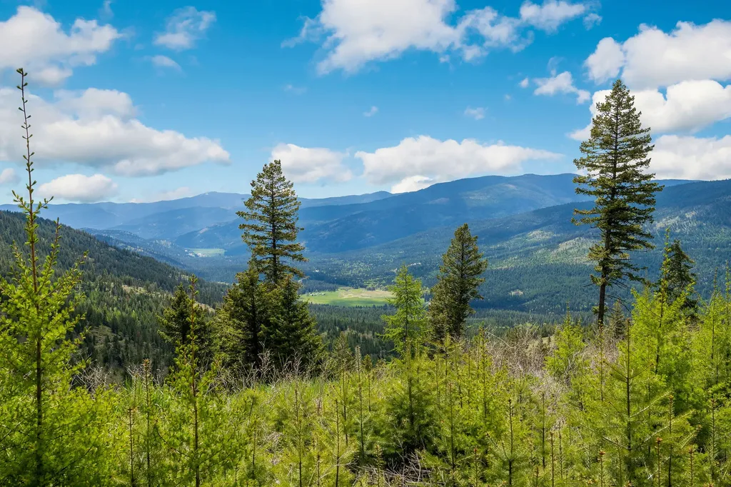Nhn Idaho Hill Road Marion MT 59925