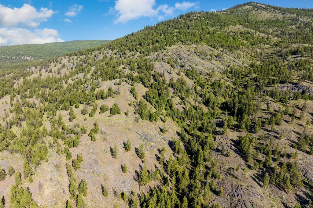 Nhn Idaho Hill Road Marion MT 59925