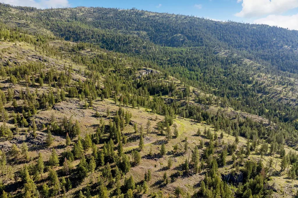 Nhn Idaho Hill Road Marion MT 59925