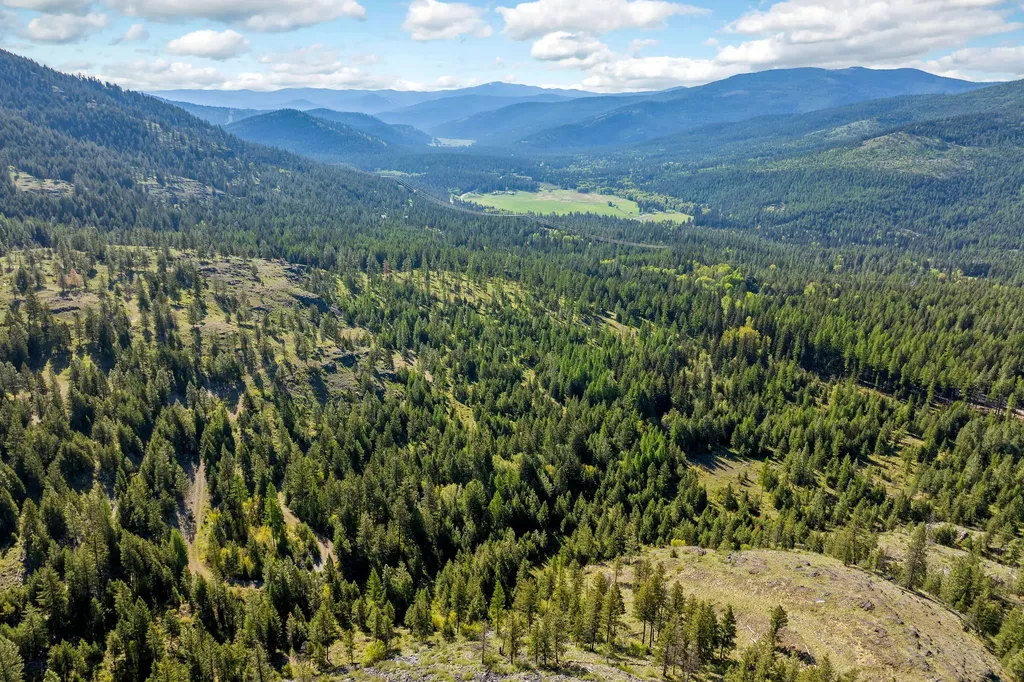 Nhn Idaho Hill Road Marion MT 59925