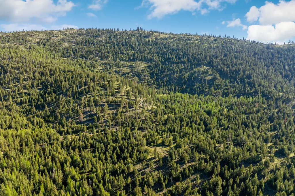 Nhn Idaho Hill Road Marion MT 59925