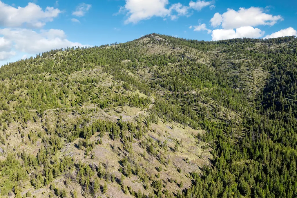 Nhn Idaho Hill Road Marion MT 59925