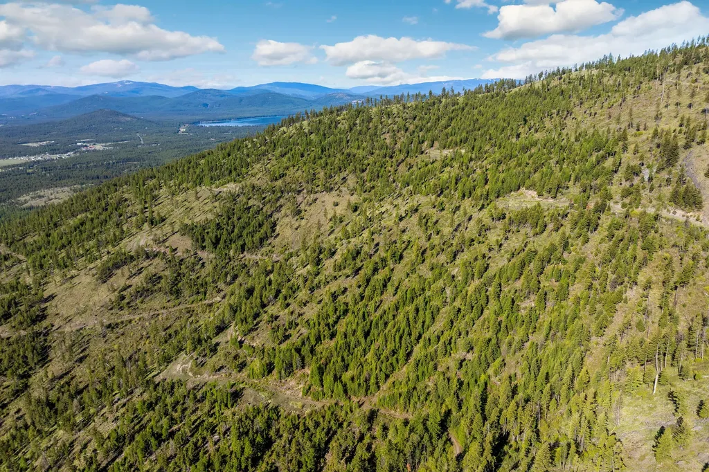 Nhn Idaho Hill Road Marion MT 59925
