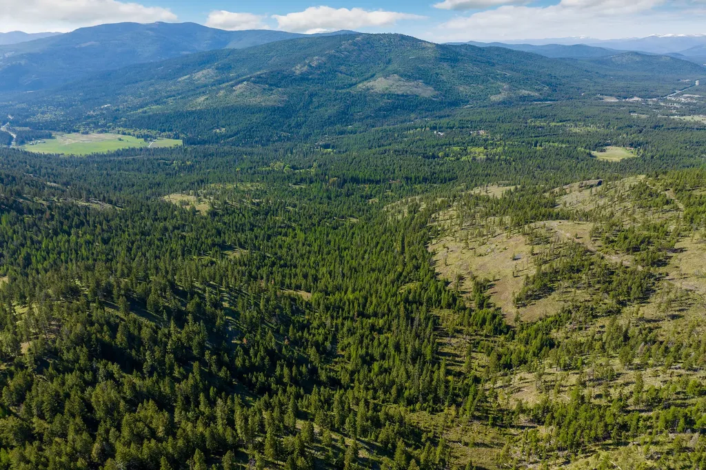 Nhn Idaho Hill Road Marion MT 59925