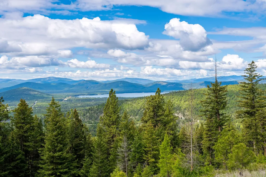 Nhn Idaho Hill Road Marion MT 59925