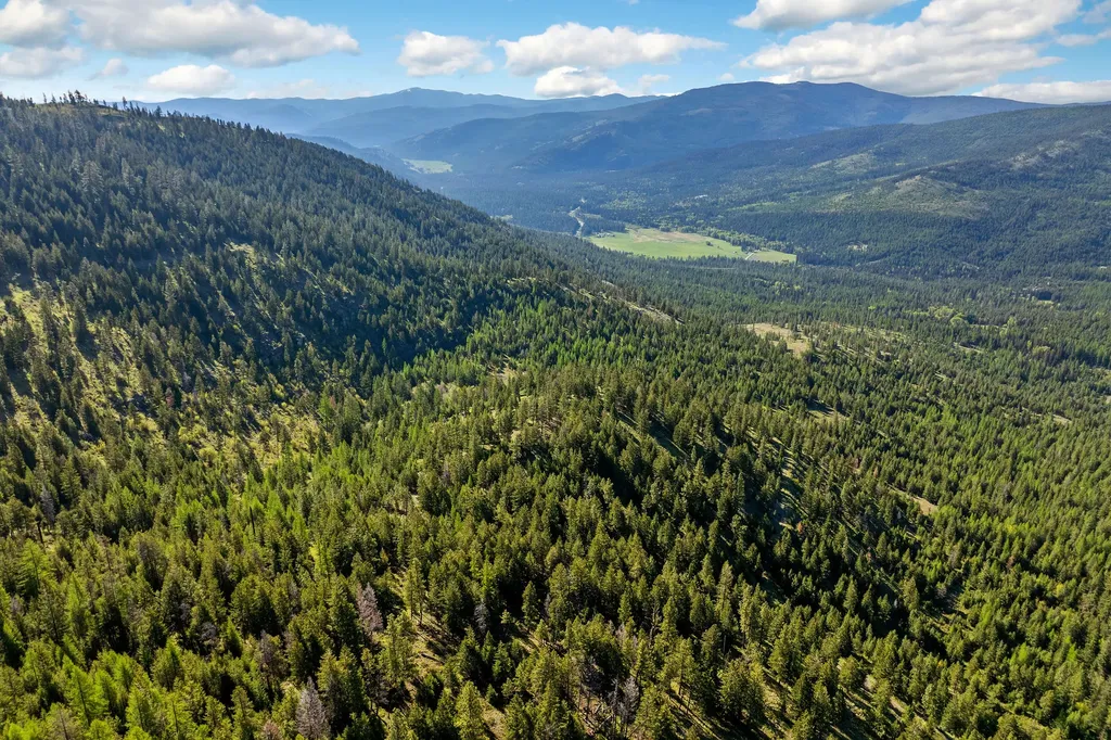 Nhn Idaho Hill Road Marion MT 59925
