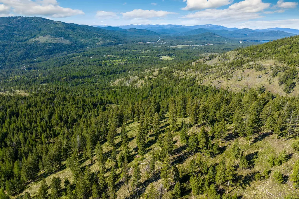 Nhn Idaho Hill Road Marion MT 59925