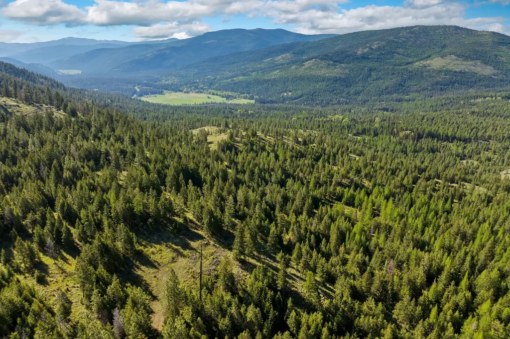 Nhn Idaho Hill Road Marion MT 59925