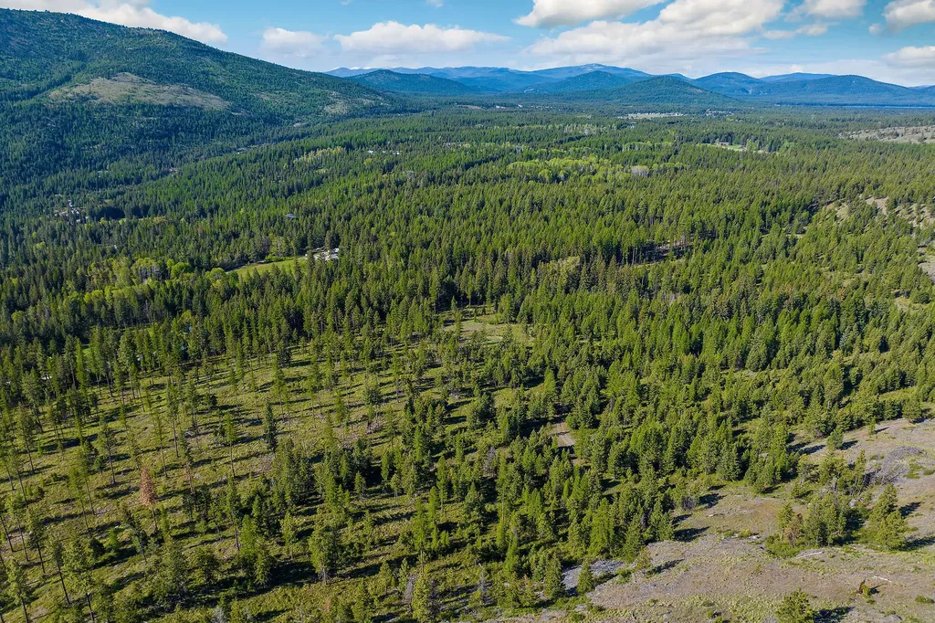 Nhn Idaho Hill Road Marion MT 59925
