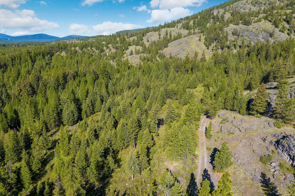 Nhn Idaho Hill Road Marion MT 59925