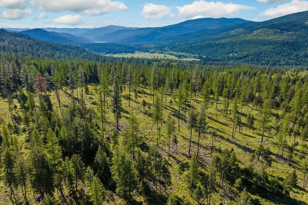 Nhn Idaho Hill Road Marion MT 59925