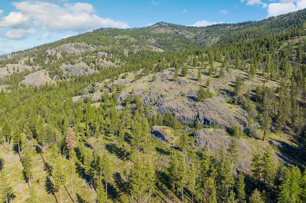 Nhn Idaho Hill Road Marion MT 59925