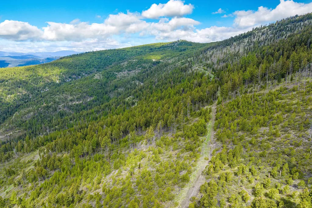 Nhn Idaho Hill Road Marion MT 59925