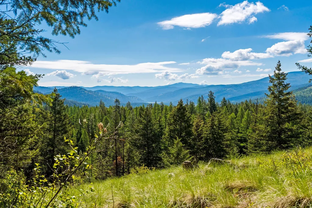 Nhn Idaho Hill Road Marion MT 59925